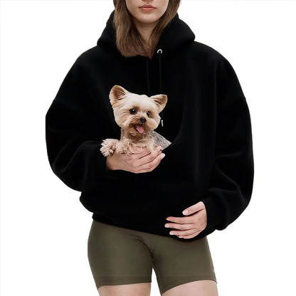 Pull porte-chat et petit chien à poche ventrale